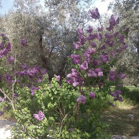Masseria Costanza 푸티냐노 외부 사진