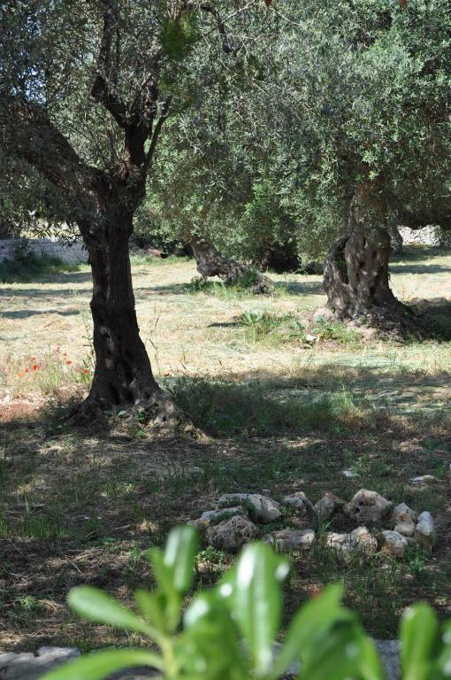 Masseria Costanza 푸티냐노 외부 사진
